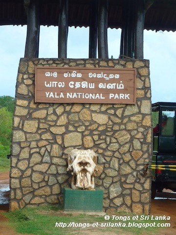 parc national de Yala au Sri Lanka