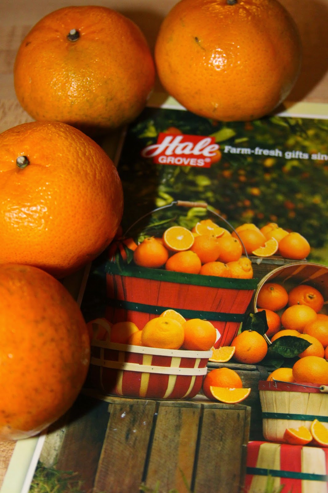 For the Love of Food Sweet Florida Orange Breakfast Bread