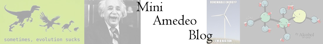 Mini-Amedeo Blog