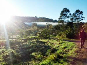 Zaytuna Farm