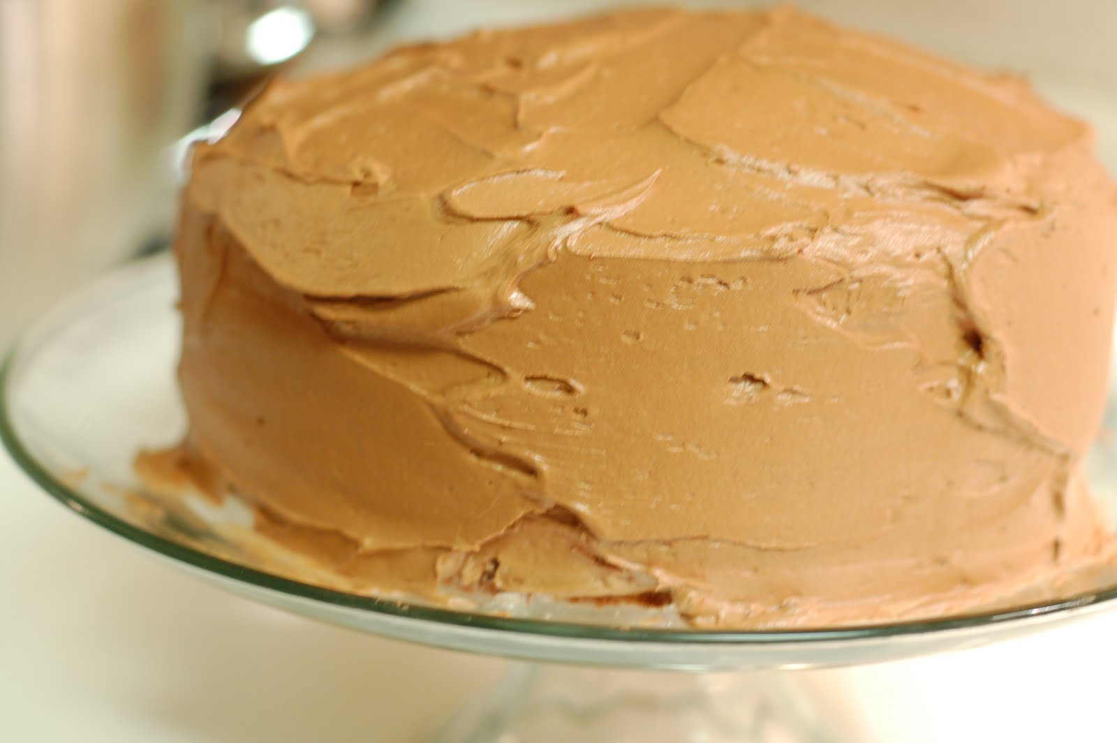 Chocolate Mayonnaise Cake lb's good spoon