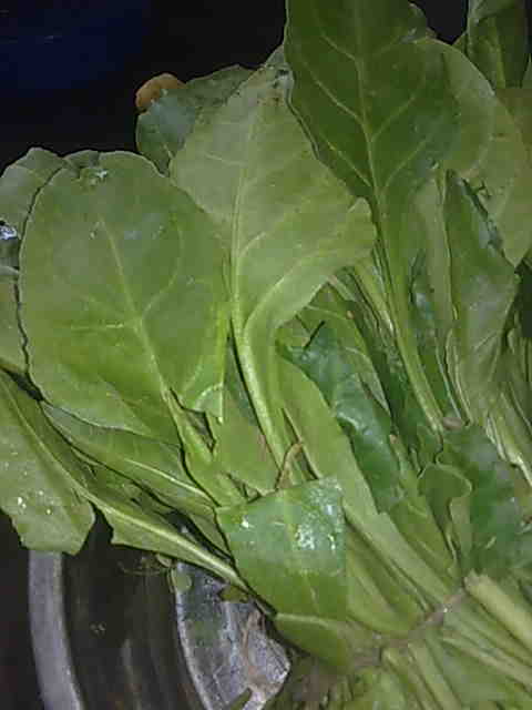 Fast Indian Recipes: Dal Palak (Spinach with Lentils)