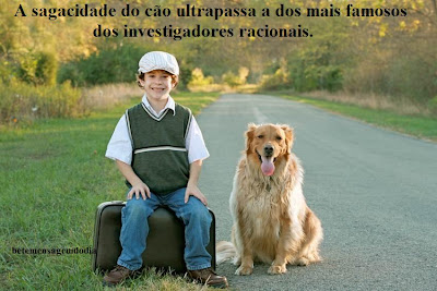 racionais encontre uma de carater se voce puder