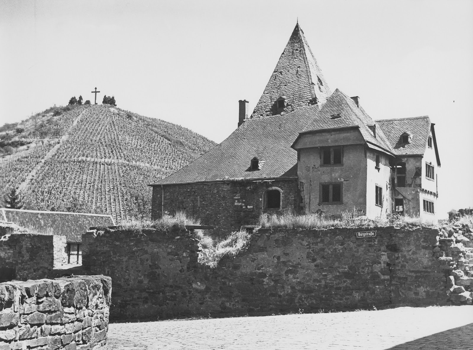 Weinkultur Rheinbreitbach Untere Burg