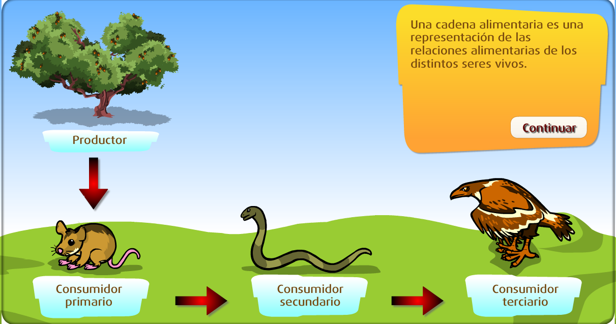 las cadenas alimenticias wikipedia cadena alimentaria para ni 241 os imagui las cadenas alimenticias wikipedia cadena alimentaria para ni 241 os imagui