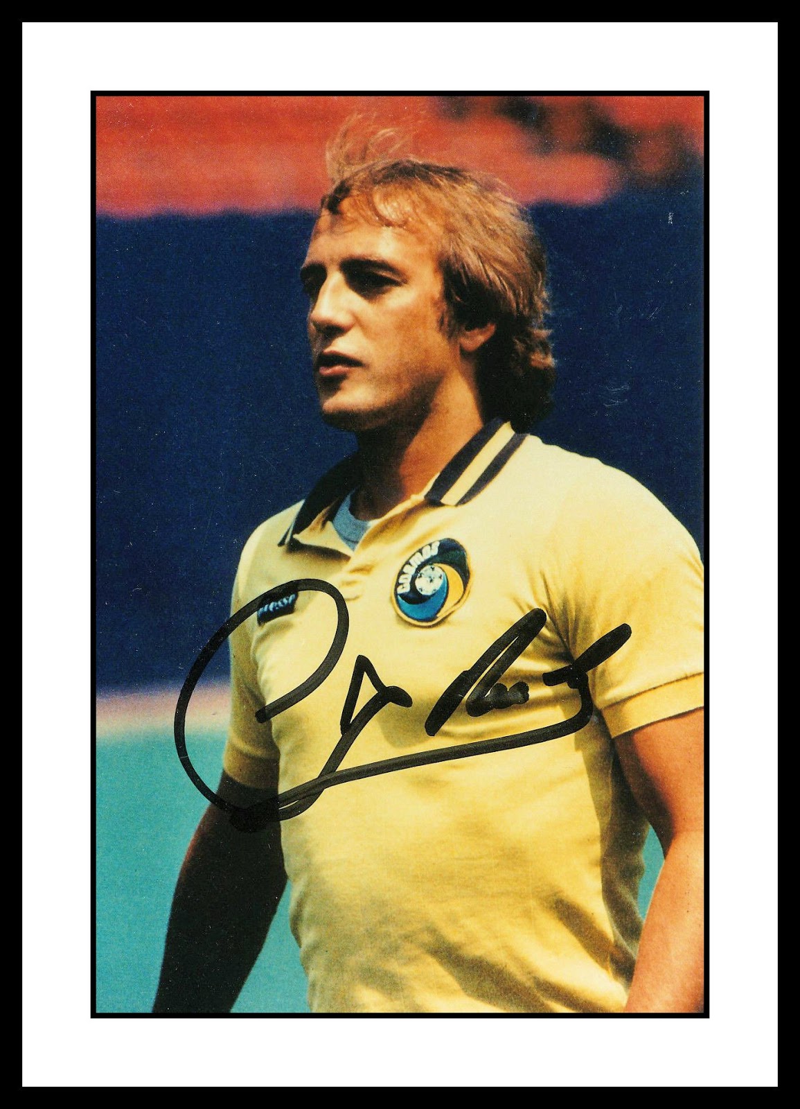 NORTH AMERICAN SOCCER LEAGUE: JOHAN NEESKENS, 1980 