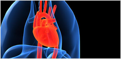 Cardiovascular Regimen