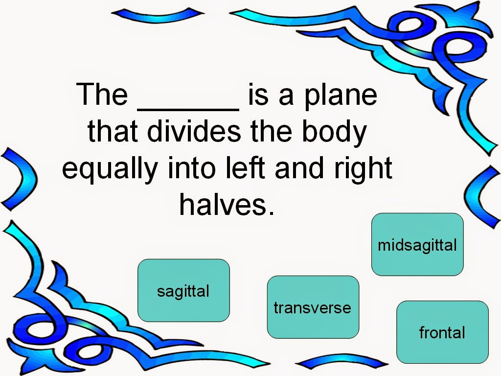 Student Survive 2 Thrive Body Planes Practice Test Sagittal, Frontal