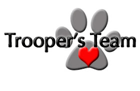 Trooper's Team