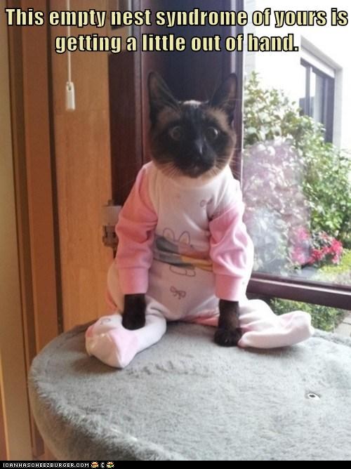 Jeannie's Happy World: LOL Caturday!