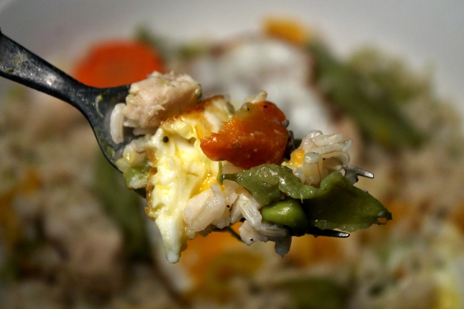 The 99 Cent Chef Rice Bowl with Chicken & Veggies