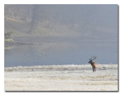 Les effets de regard pour une landing page