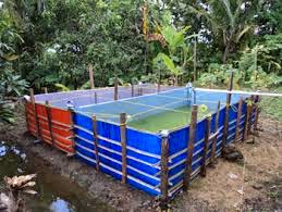 Cara Beternak Belut Di Kolam Terpal dengan Kerangka Bambu/Kayu