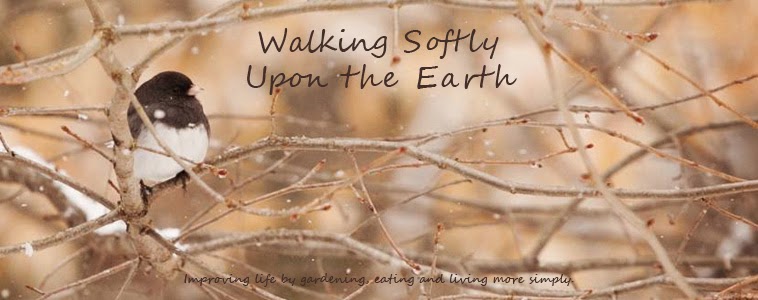 Walking Softly Upon The Earth