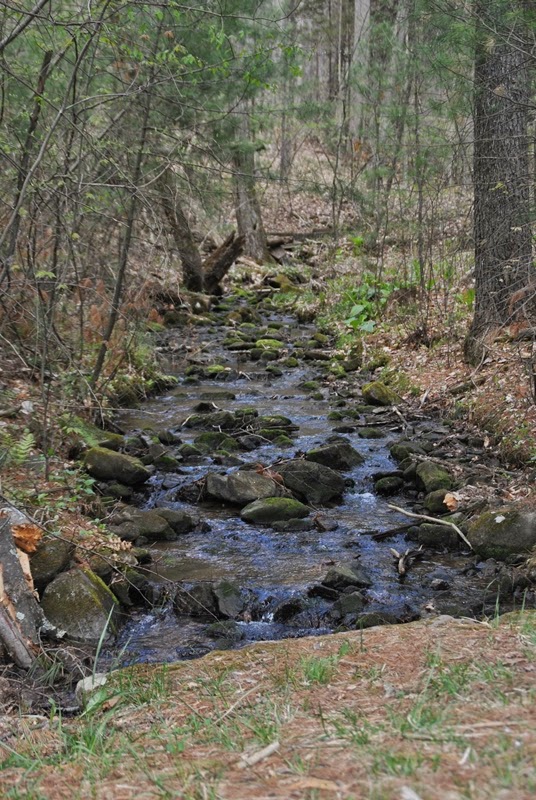 Southeastern PA Hiking Birdsboro Preserve & Waters