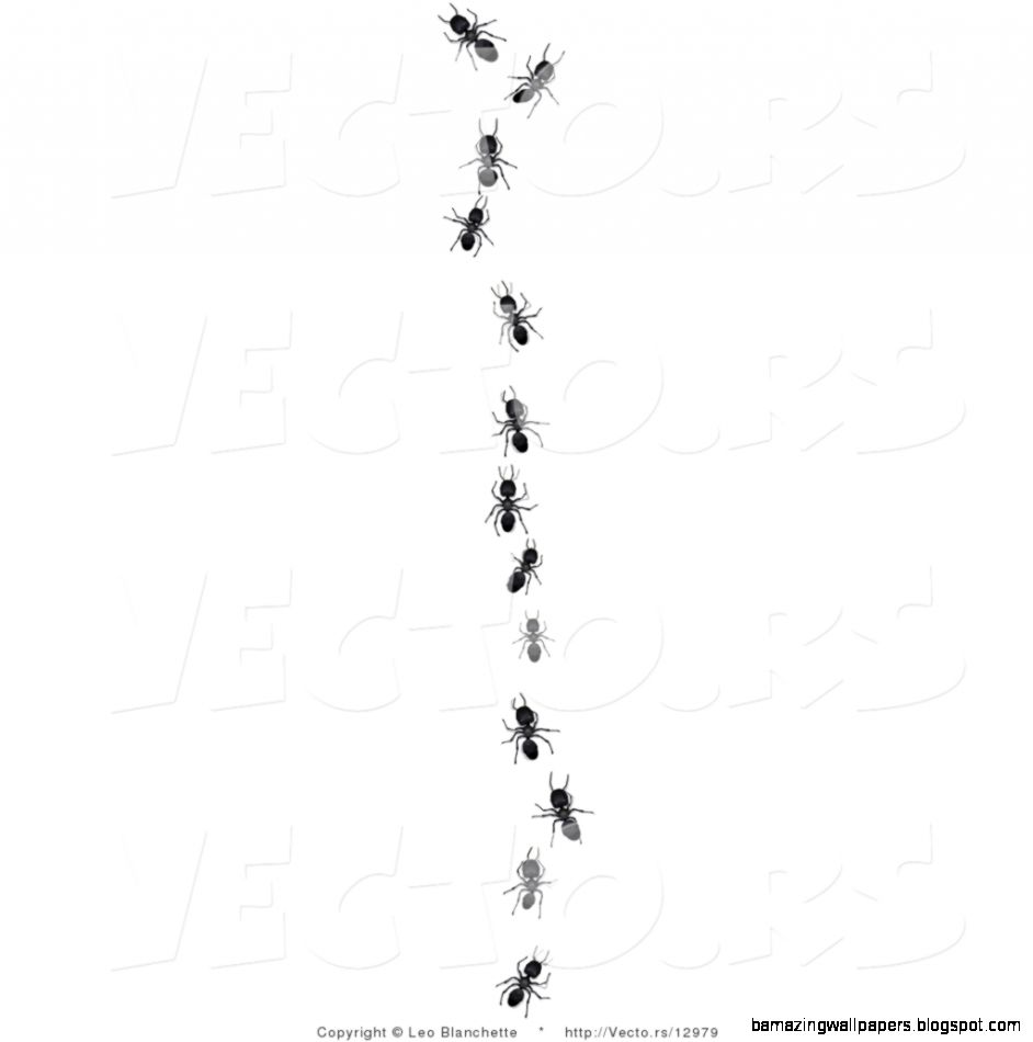 Vector of Worker Ants Following Leader in Single File Line by Leo Vector of Worker Ants Following Leader in Single File Line by Leo