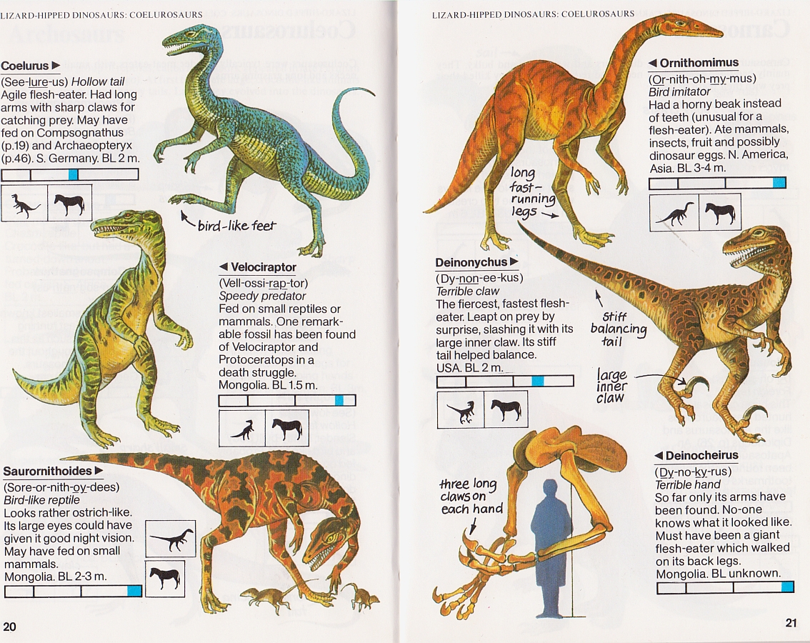 Coelurosaurs.jpg