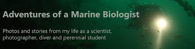 Adventures of a Marine Biologist