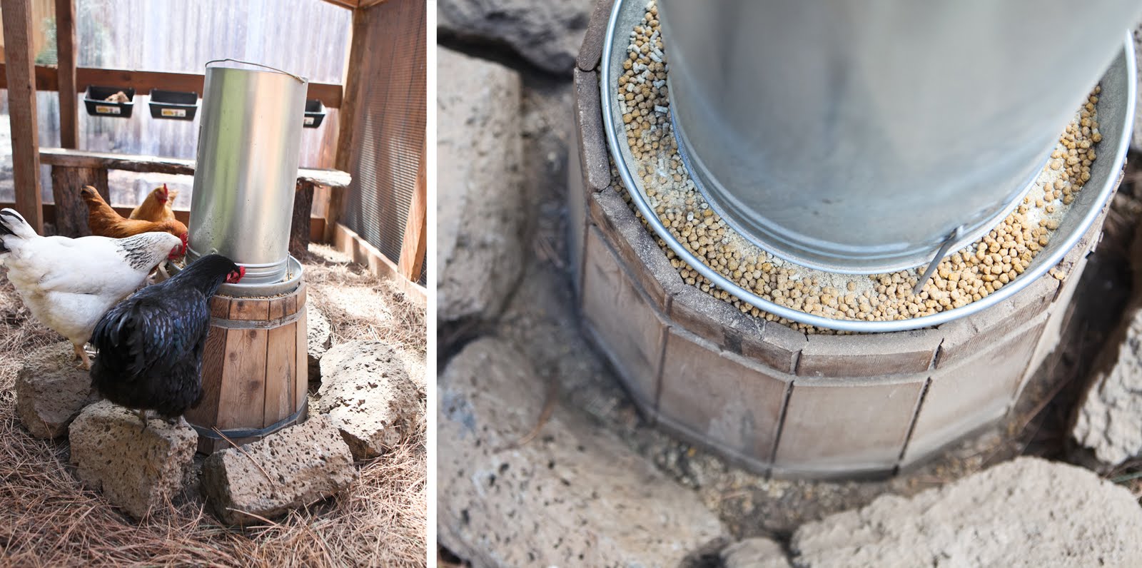 The Poop Hammock Keeping Your Coop Clean Community Chickens