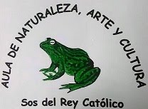 Aula de Naturaleza, Arte y Cultura