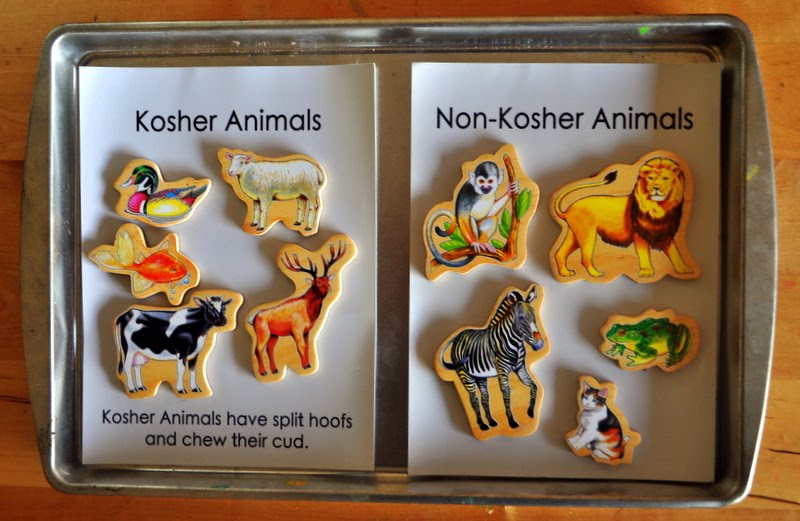 A Jewish Homeschool Blog Parshas Shemini Kosher Animals