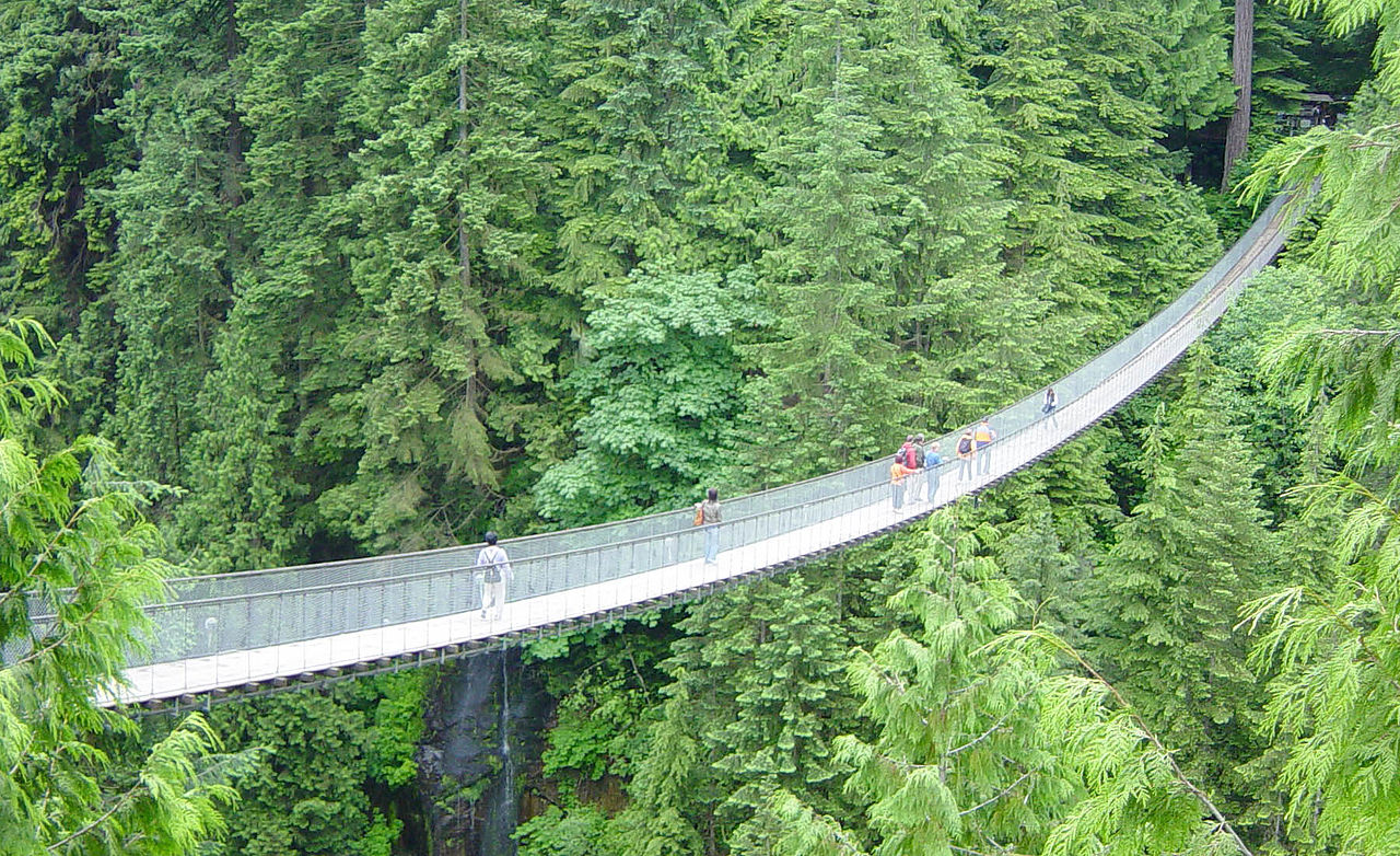 Capilano Suspension Bridge Park a Vancouver ARC ART blog by Daniele Drigo