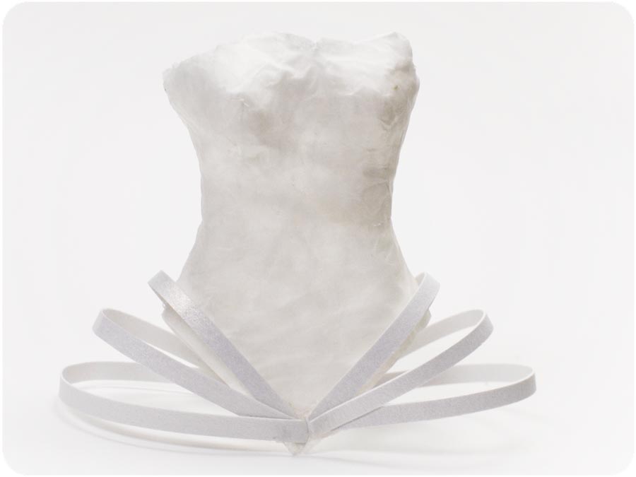 Essay on corsets 08 picture