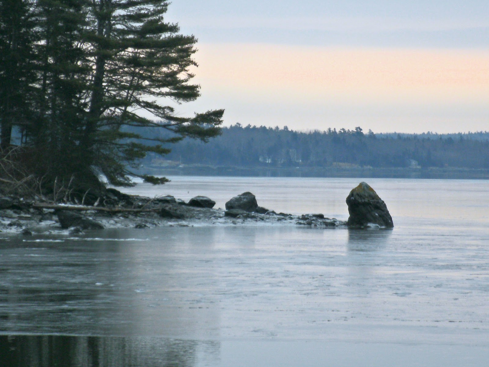 A Southern Belle in Maine