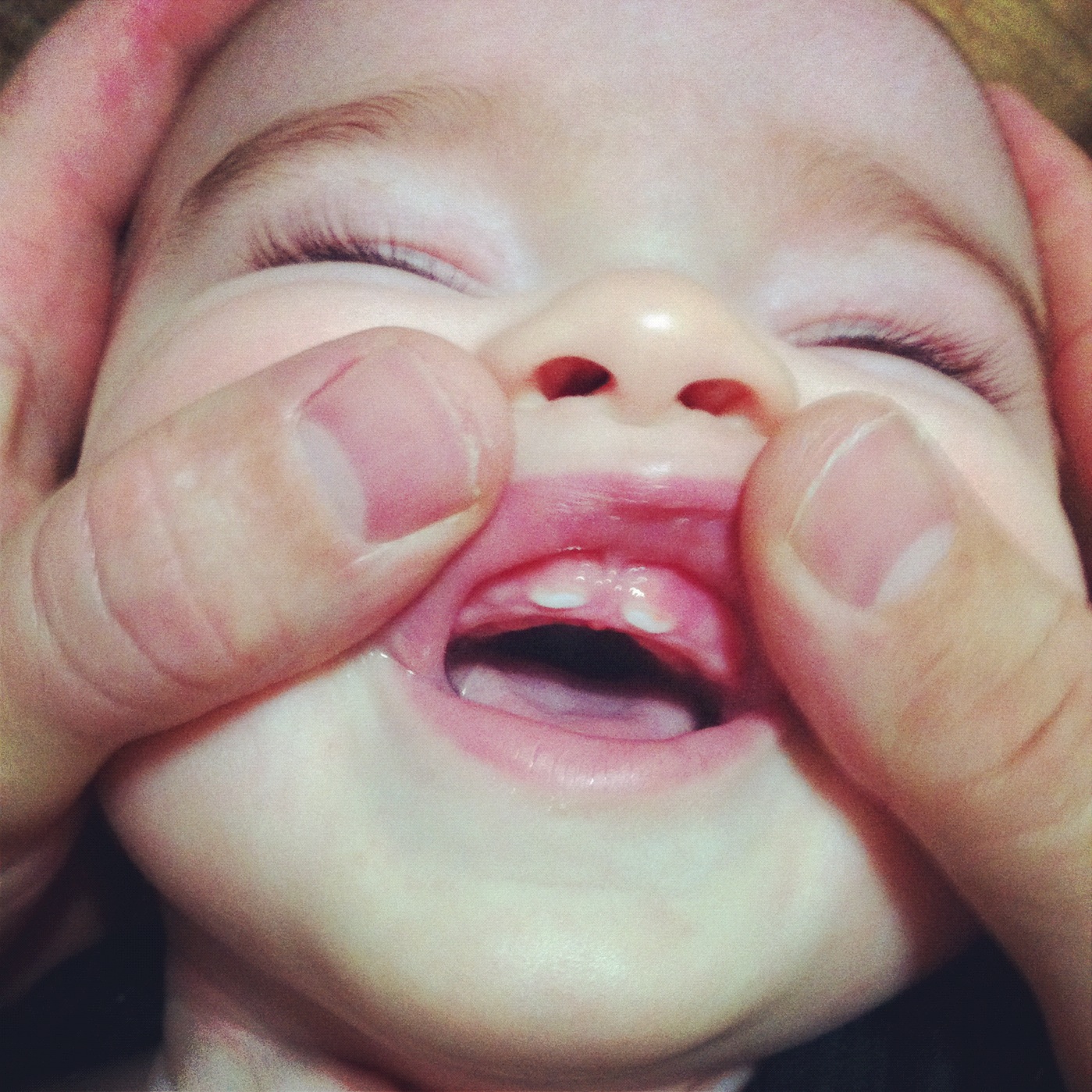 sweet savannah Score Two More For Ryder