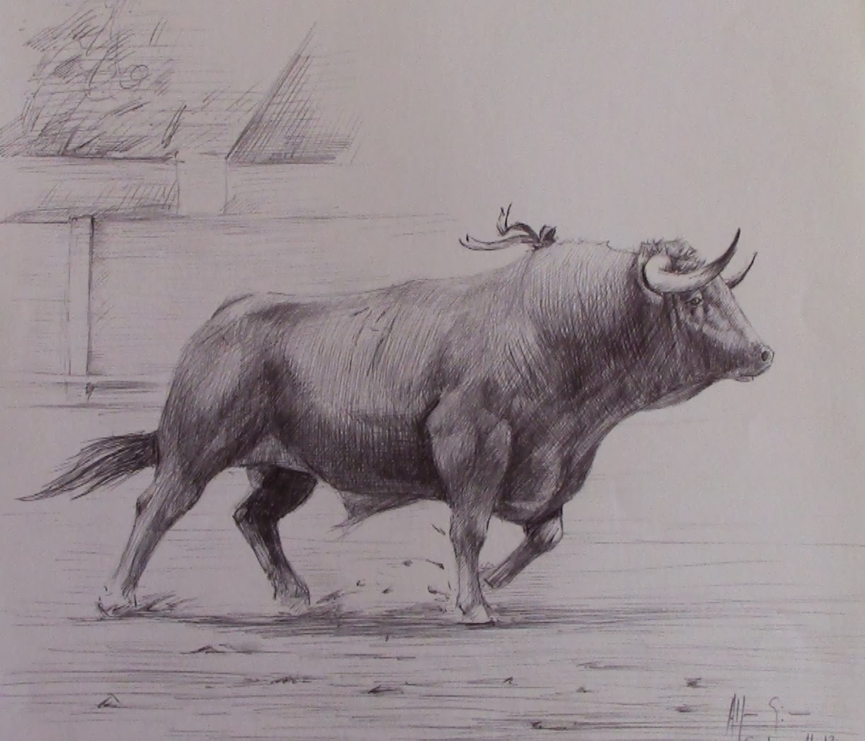 Dibujos de toros a lapiz Imagui
