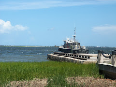 Charleston Harbor