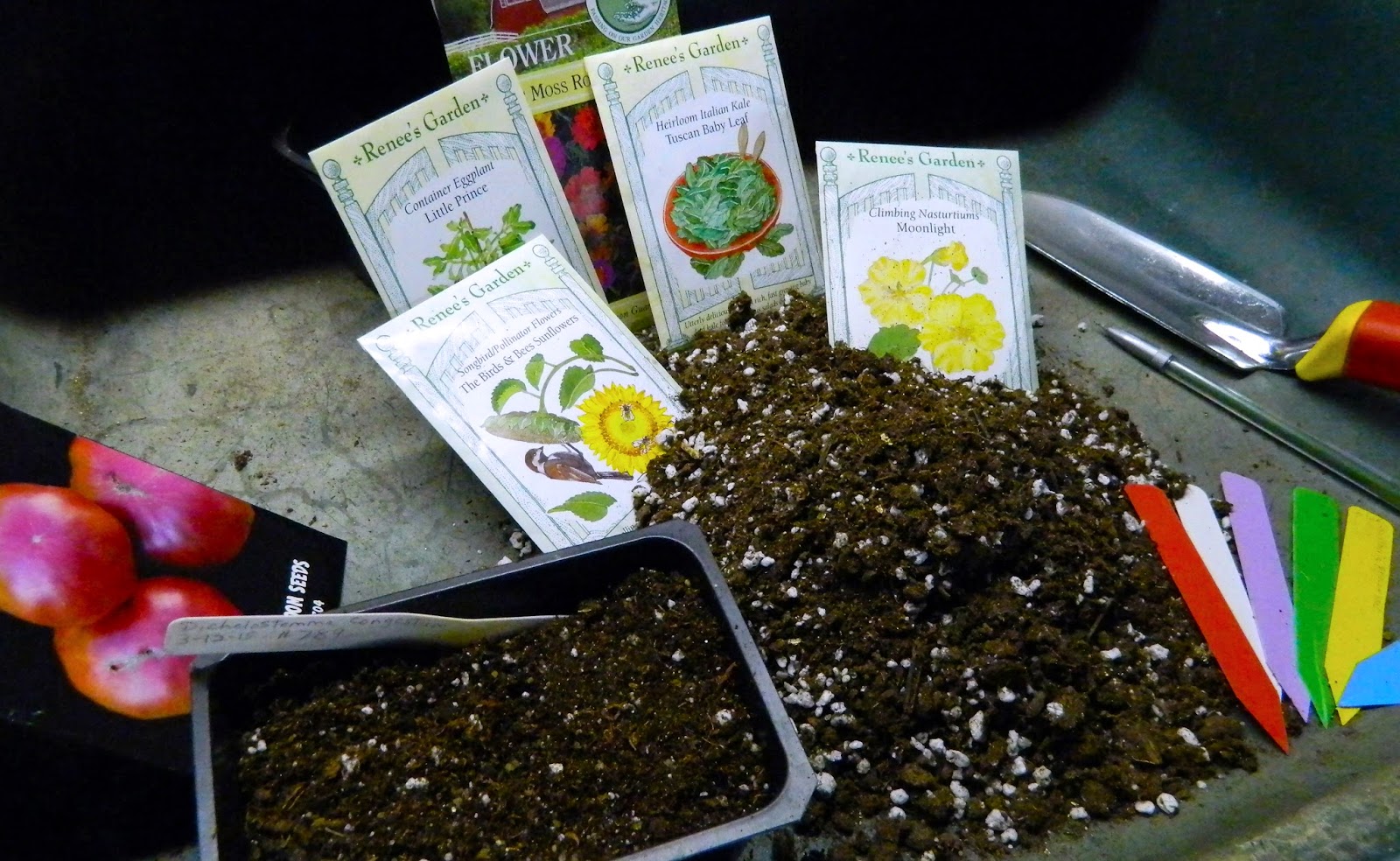 Morris Arboretum Gardeners, start your seeds!