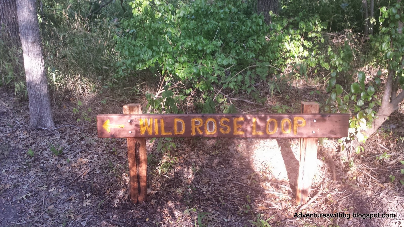 The wild rose loop trailhead at lockhart state park