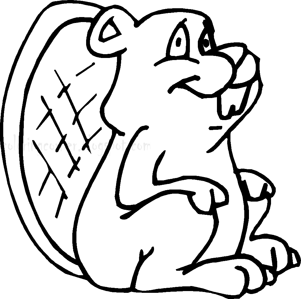 Beaver Coloring Pages Kidsuki