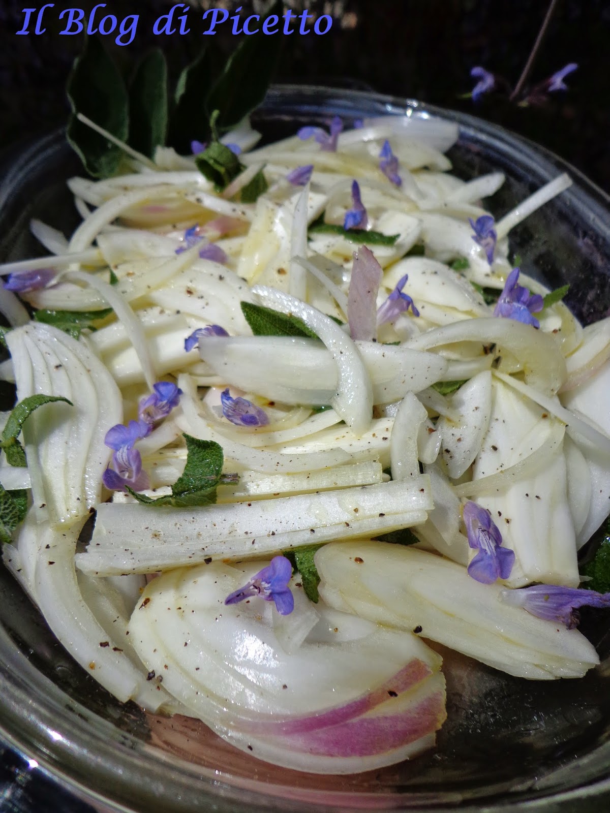 Cipolle di Tropea in insalata