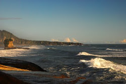 More coastline NZ