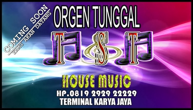 ORGEN TUNGGAL STS