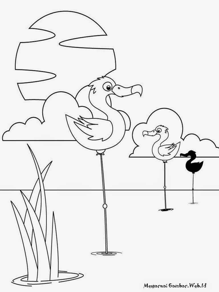Gambar Mewarnai Gambar Burung Flamingo Menyuapi Anaknya Makanan