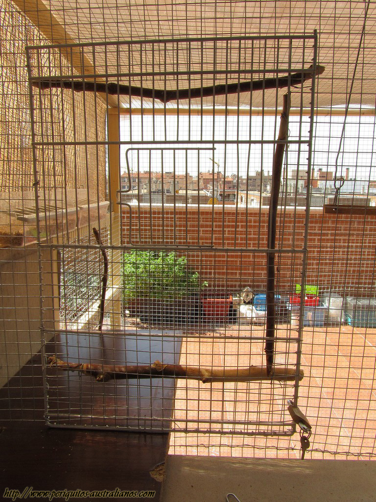 Los periquitos de Last Alexiel: Cómo construí mi pajarera en la terraza 2