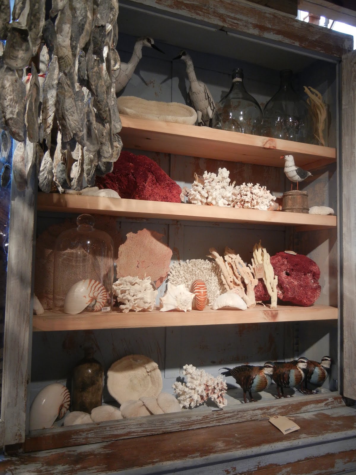 The French Tangerine savannah