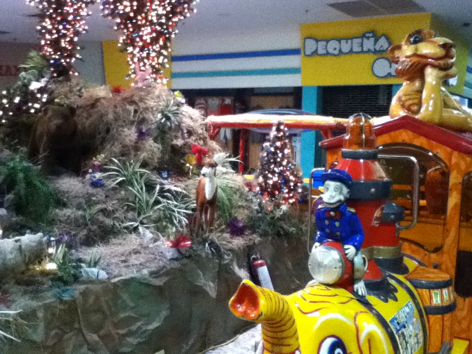 PUERTO RICO GALLERY: FELIZ NAVIDAD 2011