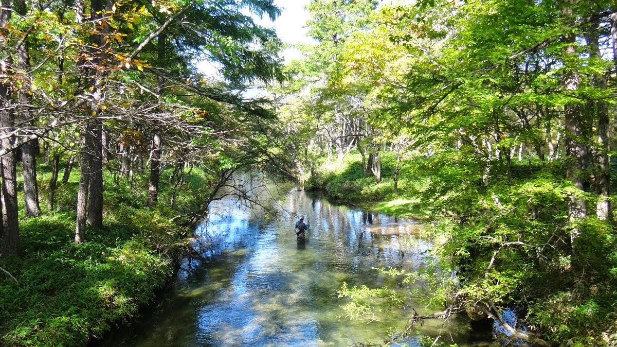 Paddle Freaks Outfitter 秋の奥日光 湯川編 ２ ２