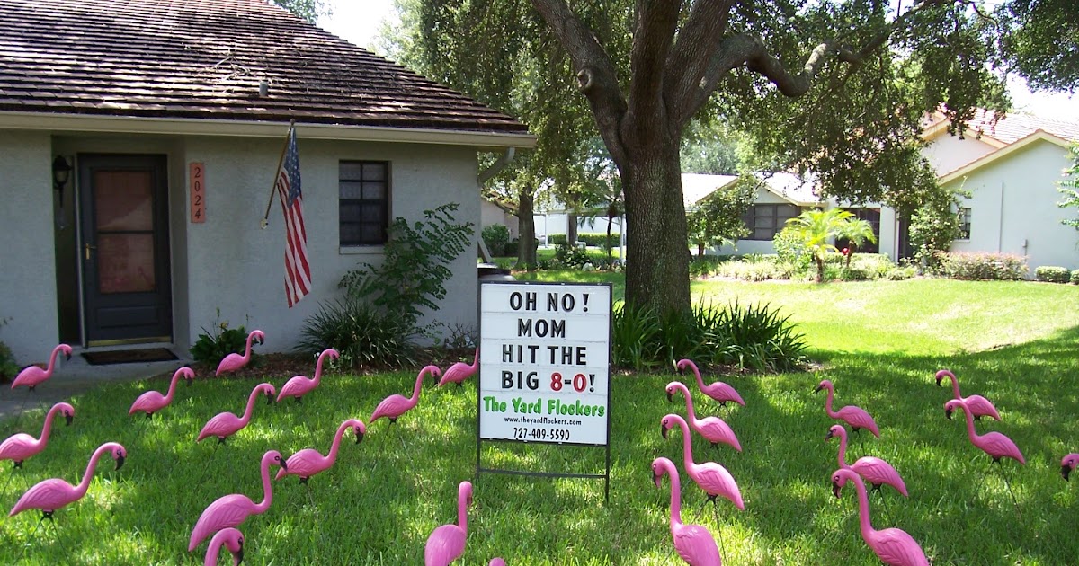 *THE YARD FLOCKERS* Pinellas County, Fla 727-409-5590 WWW