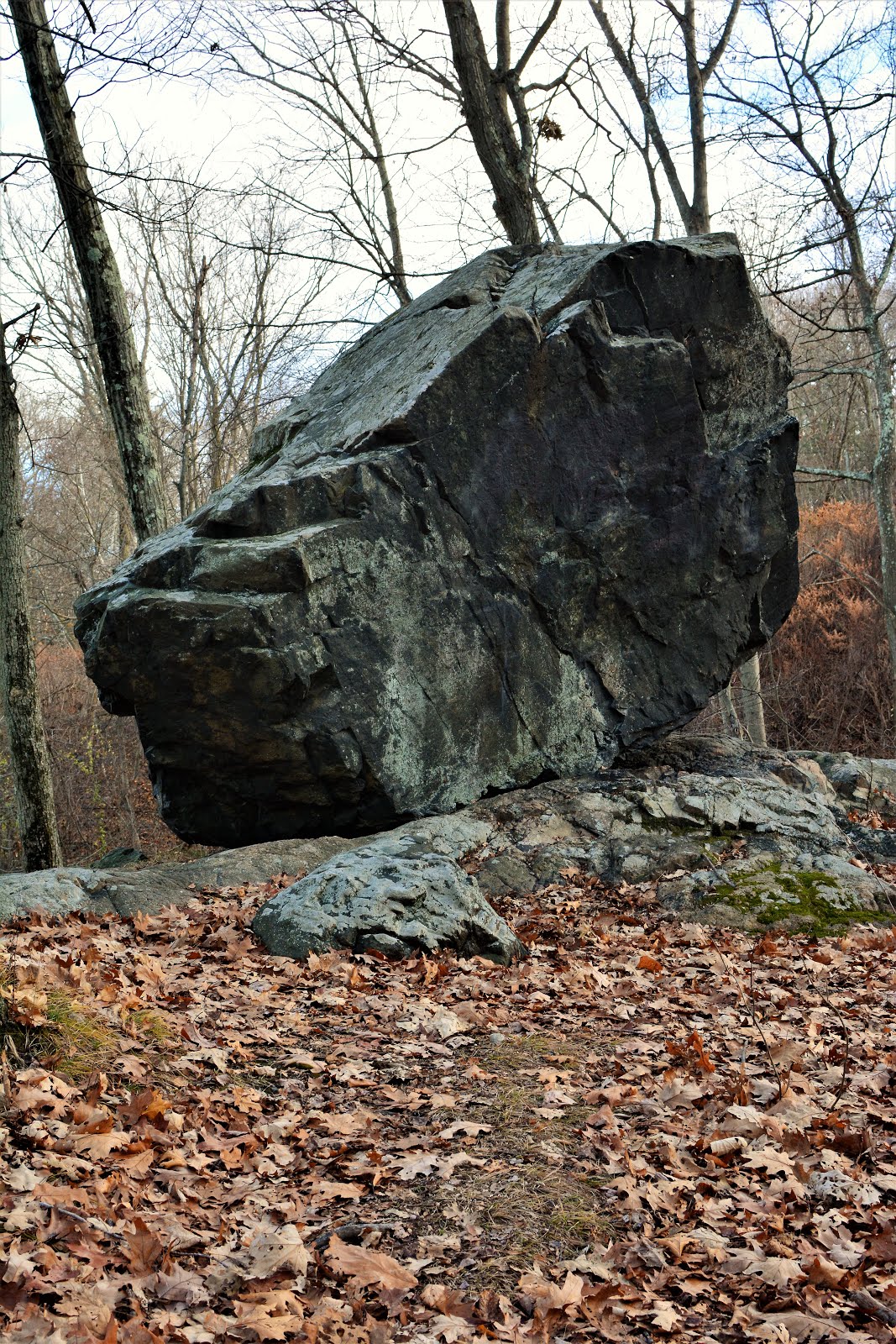 Photoggablogga Prospect Hill Park Waltham, MA