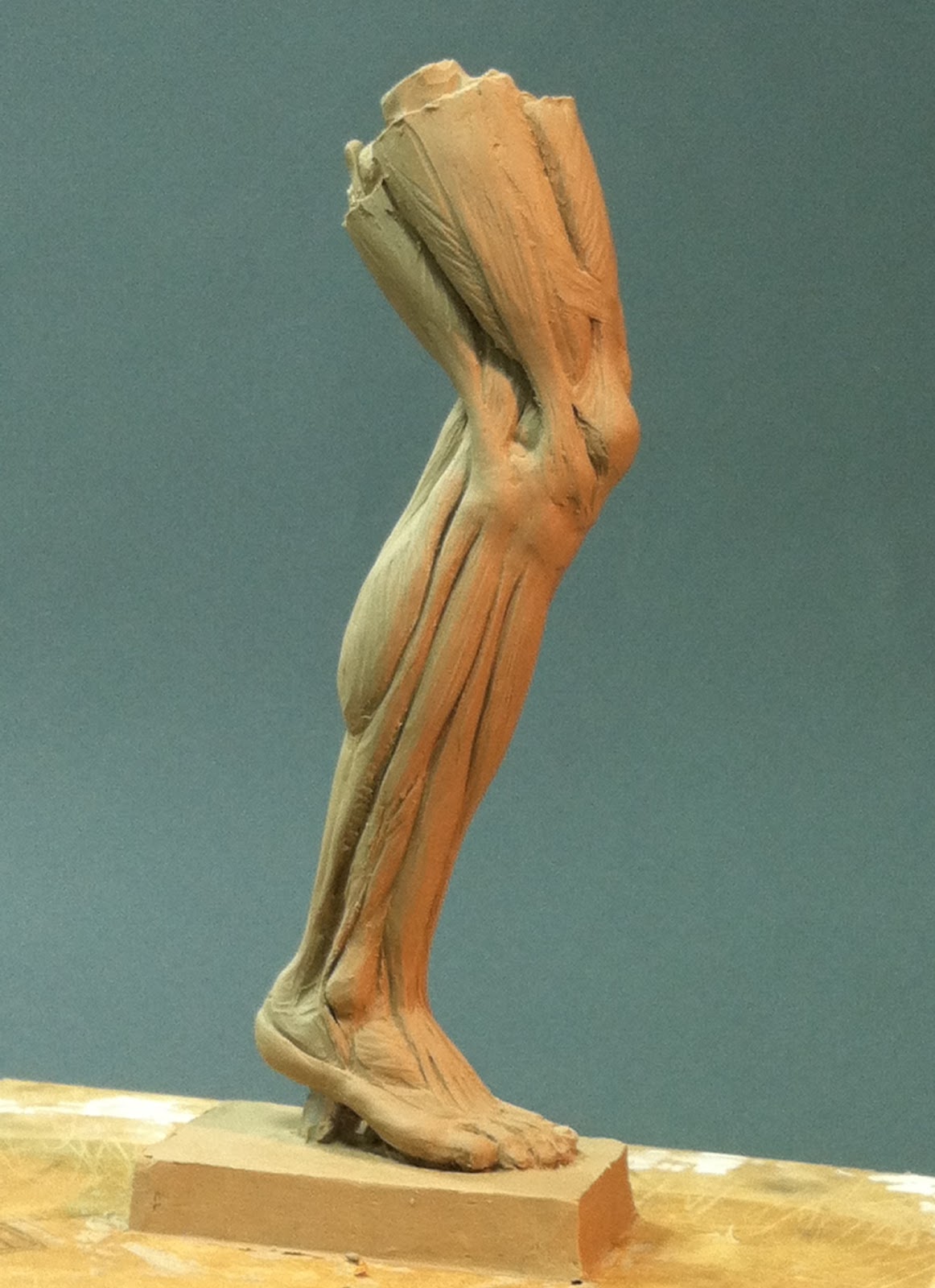 Sutton Betti Sculpture and Drawings: #38 anatomy of the lower leg