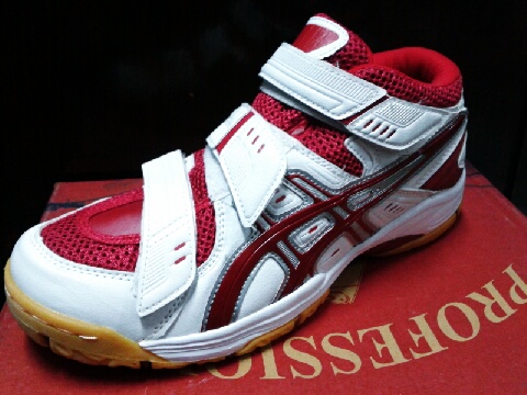 pusat sepatu mizuno murah sepatu voli profesional cyber pusat sepatu mizuno murah sepatu voli profesional cyber