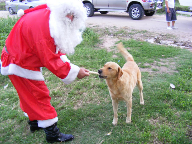 Hasta los perros son amigos de Papá Noel
