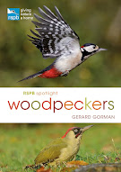 Spotlight Woodpeckers