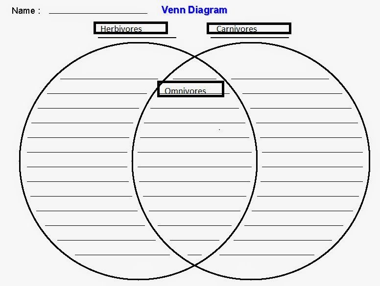 herbivore carnivore omnivore venn diagram venn diagram with pictures of herbivores omnivores and carnivores choice image how to guide herbivore carnivore omnivore venn diagram venn diagram with pictures of herbivores omnivores and carnivores choice image how to guide