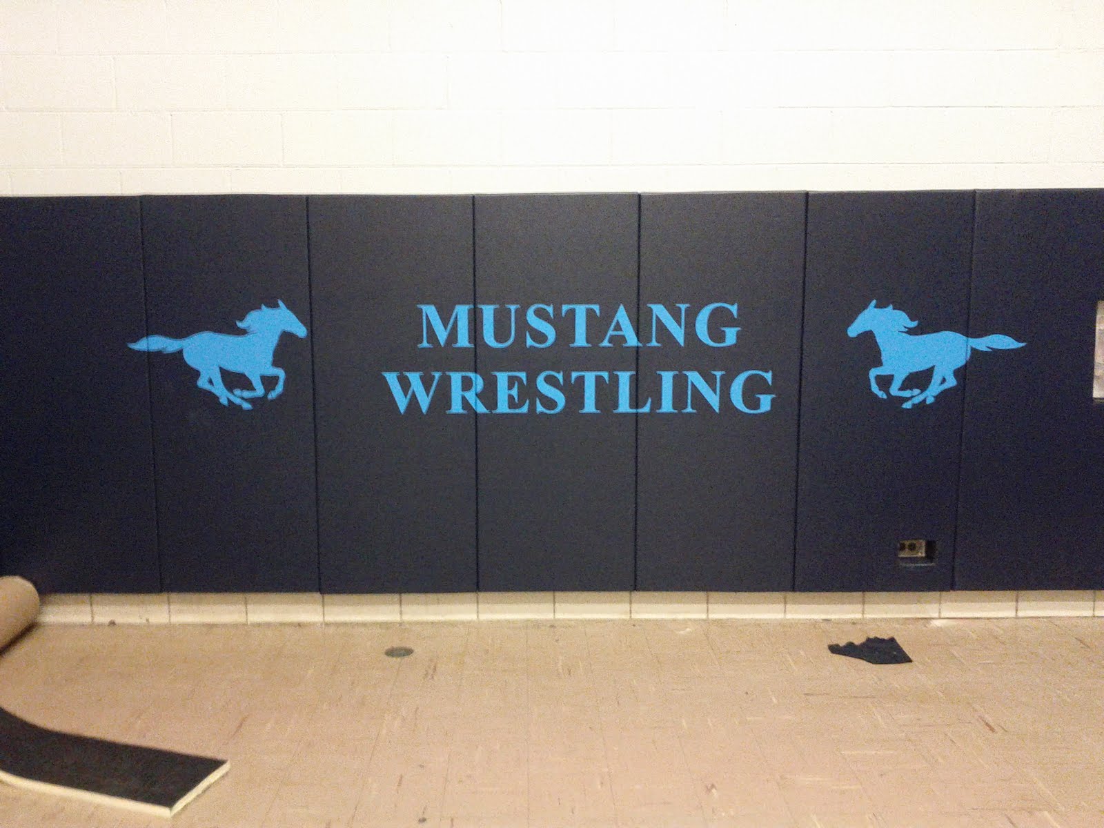 DGS Wrestling Wrestling Program Replaces Wall Mats in Wrestling Room